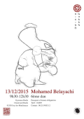 Seminario: El 13 de diciembre de 2015 - AIKIDO - ISSY-LES-MOULINEAUX (F-92130) - Mohamed BELAYACHI ( 6.o dan - GHAAN - RTN )